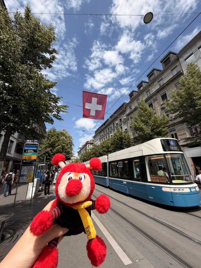 Rieti vor einer schweizer Flagge